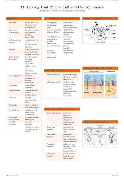 LaTeX (Compiled PDF)