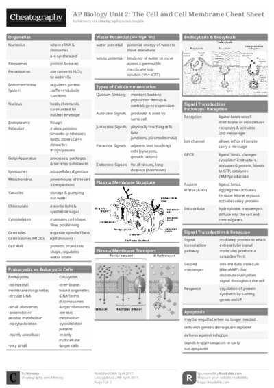 PDF (Black & white) — Style 1