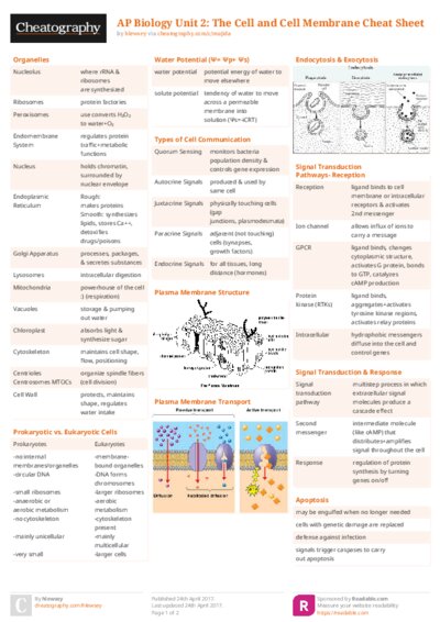 PDF (Colour) — Style 2