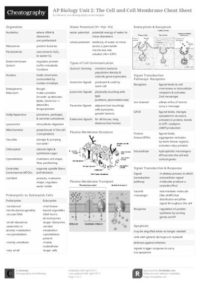 PDF (Black & white) — Style 2