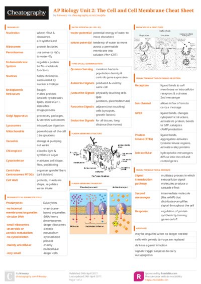 PDF (Colour) — Style 3