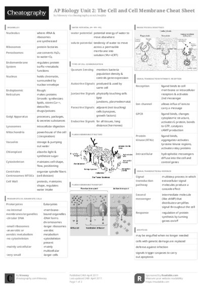 PDF (Black & white) — Style 3