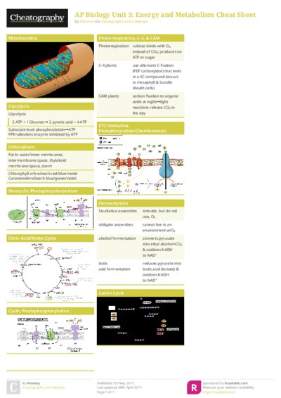AP Biology Unit 3: Energy and Metabolism Cheat Sheet