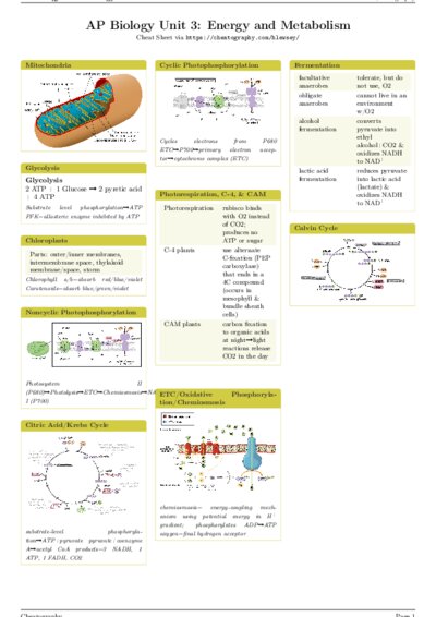 LaTeX (Compiled PDF)