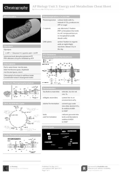 PDF (Black & white) — Style 1