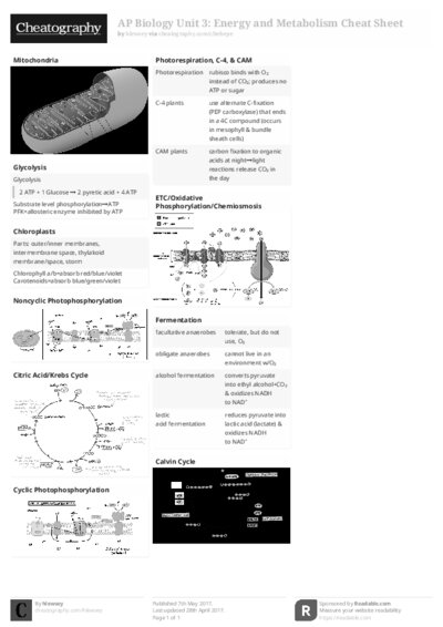 PDF (Black & white) — Style 2