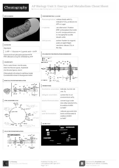 PDF (Black & white) — Style 3