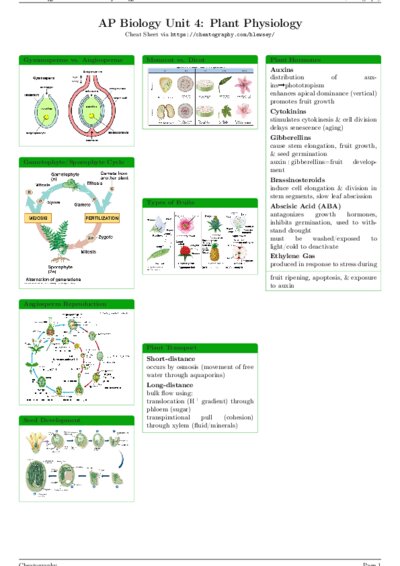 LaTeX (Compiled PDF)