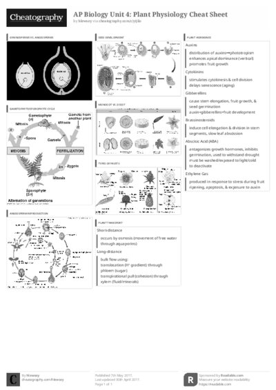 PDF (Black & white) — Style 3