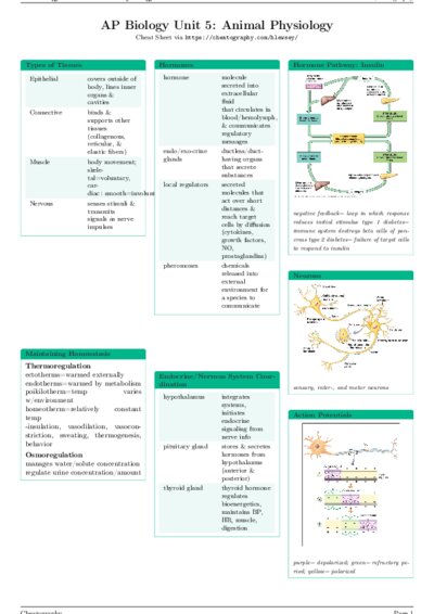 LaTeX (Compiled PDF)