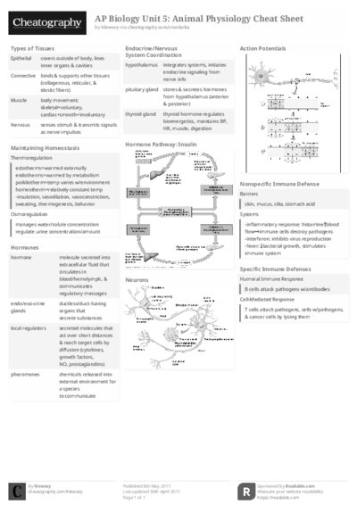 PDF (Black & white) — Style 2