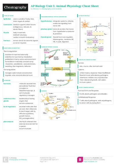PDF (Colour) — Style 3