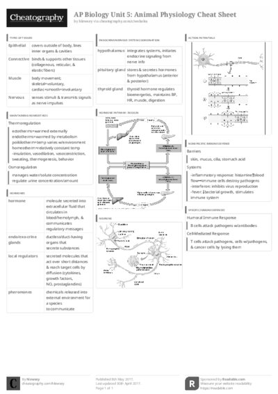 PDF (Black & white) — Style 3