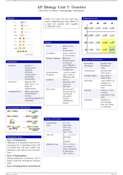 LaTeX (Compiled PDF)