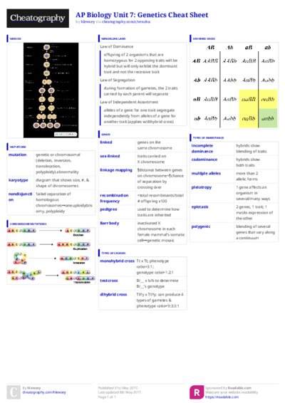 PDF (Colour) — Style 3