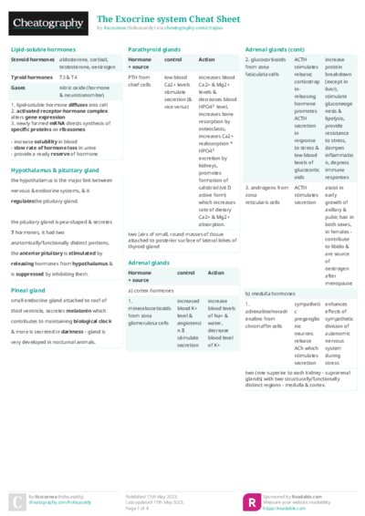 The Exocrine system Cheat Sheet