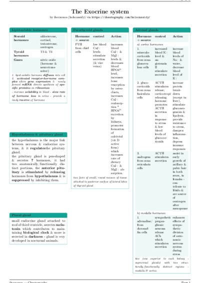 LaTeX (Compiled PDF)