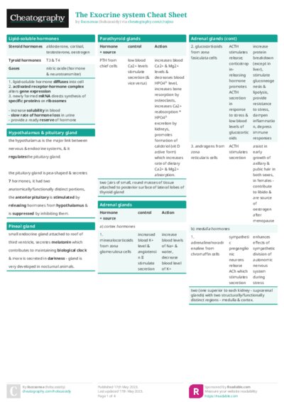 PDF (Colour) — Style 1