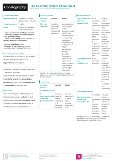 PDF (Colour) — Style 3