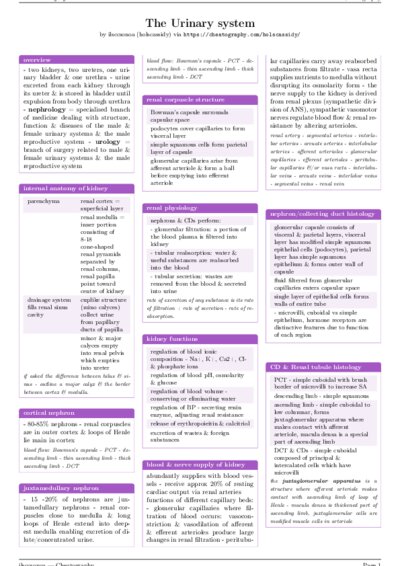 LaTeX (Compiled PDF)