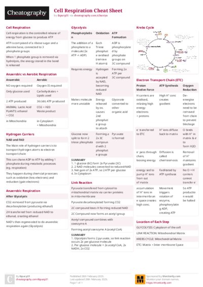 Cell Respiration Cheat Sheet