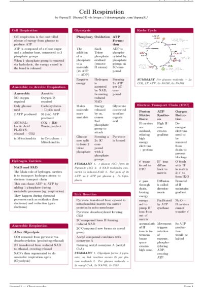 LaTeX (Compiled PDF)