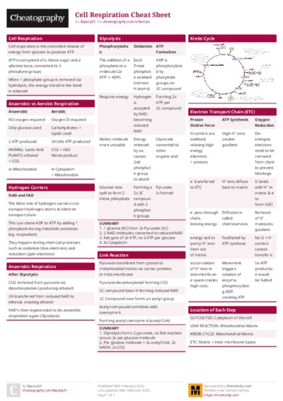 PDF (Colour) — Style 1