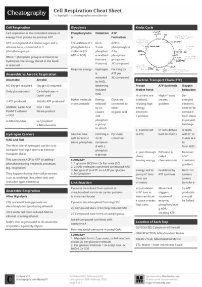 PDF (Black & white) — Style 1