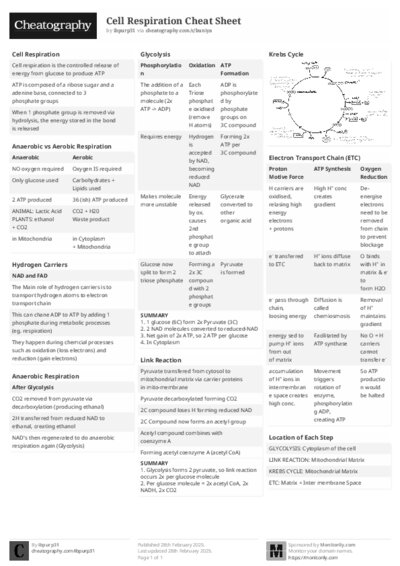 PDF (Black & white) — Style 2