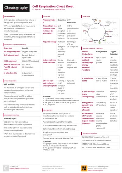 PDF (Colour) — Style 3