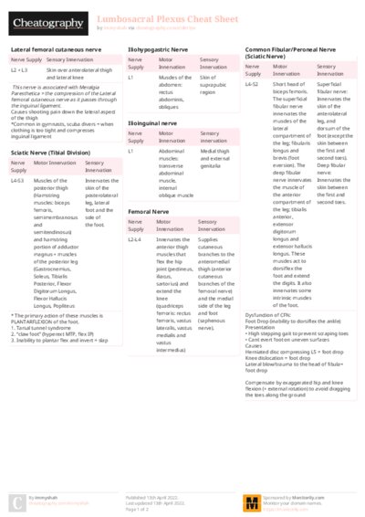 Lumbosacral Plexus Cheat Sheet