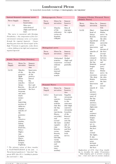 LaTeX (Compiled PDF)