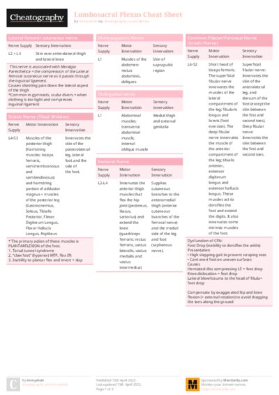 PDF (Colour) — Style 1