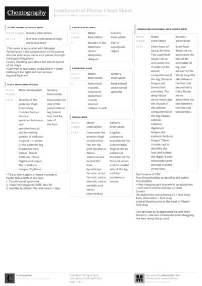 PDF (Black & white) — Style 3