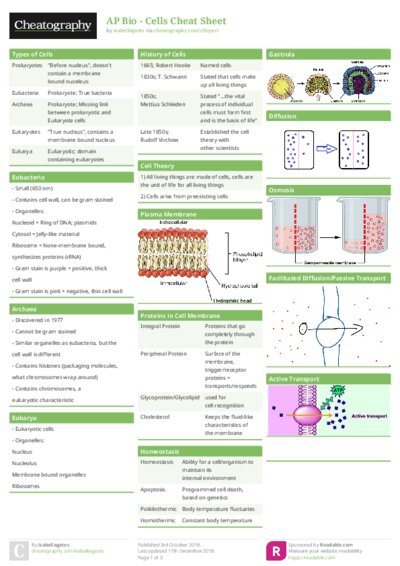 PDF (Colour) — Style 1