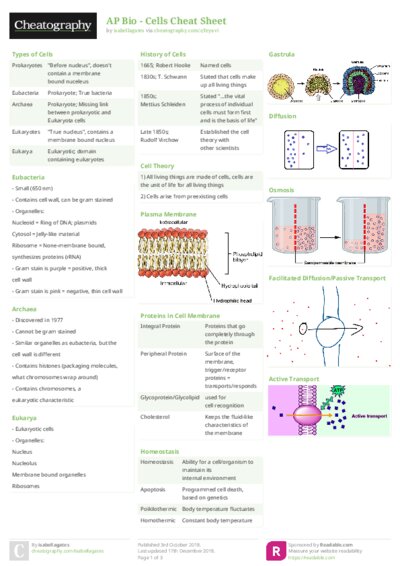 PDF (Colour) — Style 2