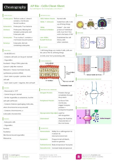 PDF (Colour) — Style 3