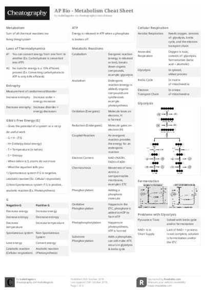 PDF (Black & white) — Style 2