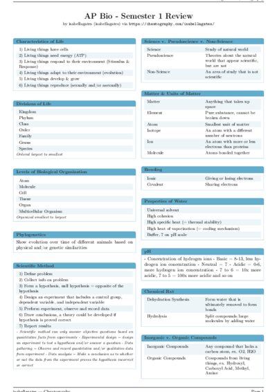 LaTeX (Compiled PDF)