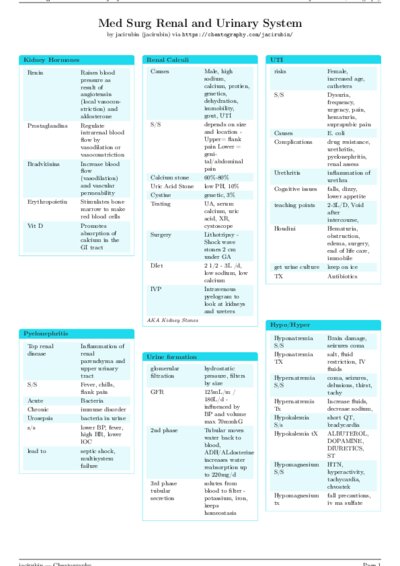 LaTeX (Compiled PDF)