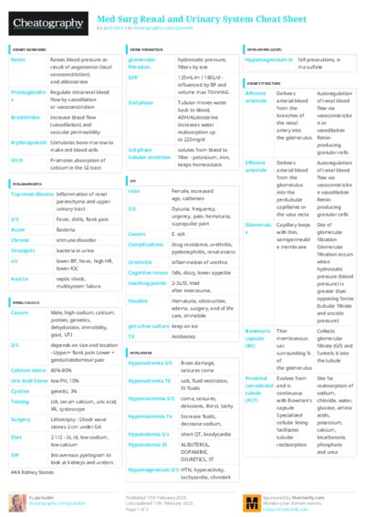 PDF (Colour) — Style 3