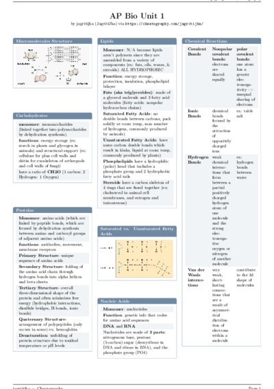 LaTeX (Compiled PDF)