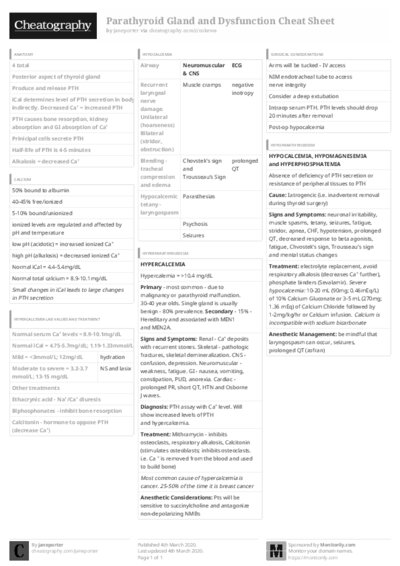 PDF (Black & white) — Style 3