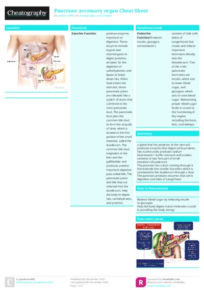 PDF (Colour) — Style 1