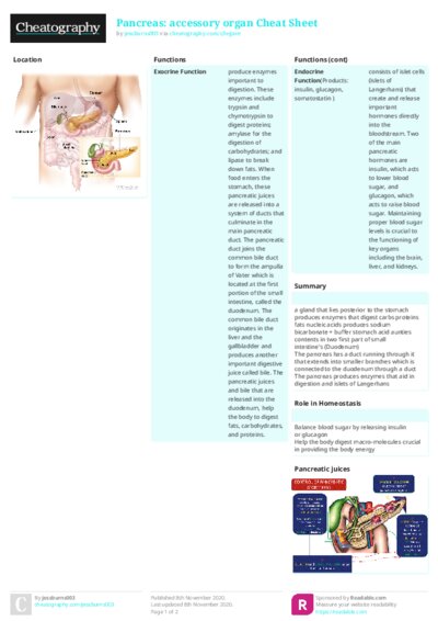PDF (Colour) — Style 2