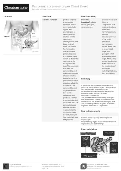 PDF (Black & white) — Style 2