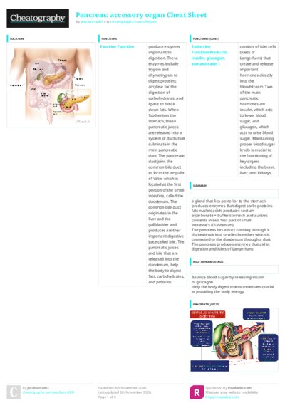 PDF (Colour) — Style 3