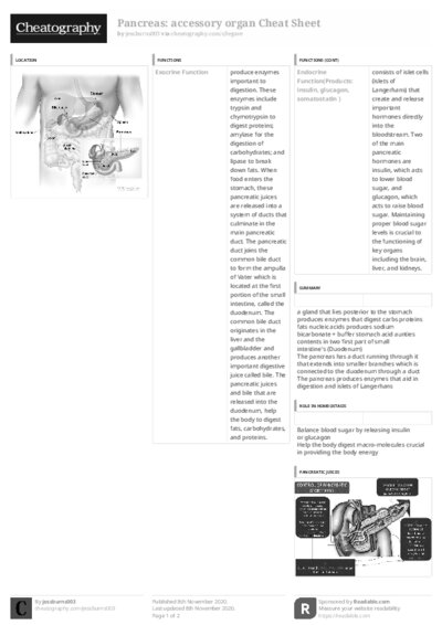 PDF (Black & white) — Style 3