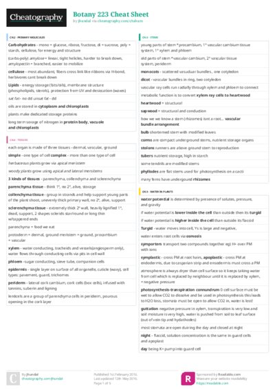 PDF (Colour) — Style 3