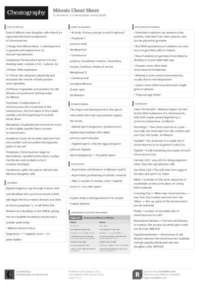 PDF (Black & white) — Style 3
